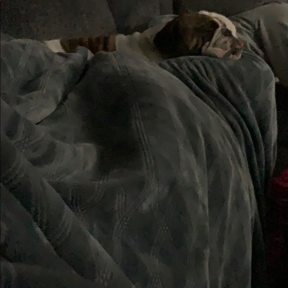 Meet your Posher, Alex - Picture 1 of 1